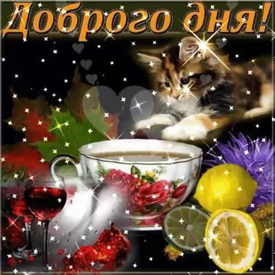 Открытка «Кот»: Доброго дня: милый кот, кофе и позитив. Тэги: пожелание, улыбка, красивая, кофе, позитив, радость…