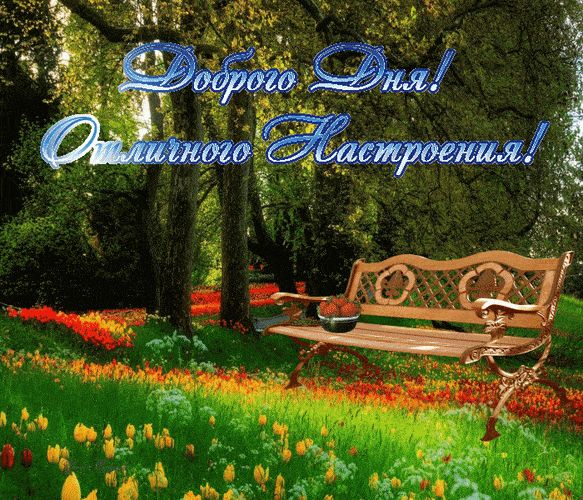 Открытка «Пожелание»: Доброго Дня! Отличного Настроения! Открытка. Тэги: отличное настроение, красивая, позитив…