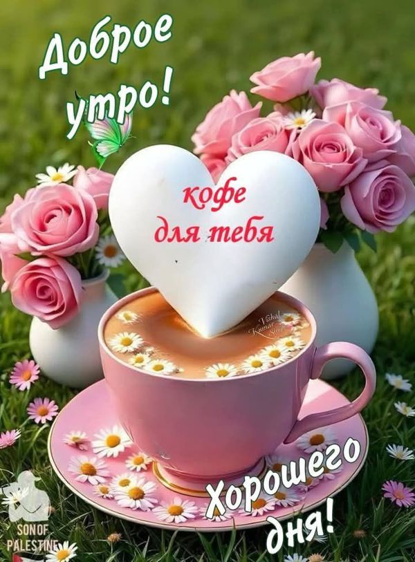 Открытка «Пожелание»: Доброе утро и хорошего дня! Нежный кофе для тебя. Тэги: утро, красивая, кофе, позитив, хорошее…
