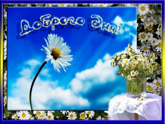 Открытка «Пожелание»: Доброго Дня! Яркая открытка с ромашками. Тэги: улыбка, красивая, позитив, радость, добрый день…