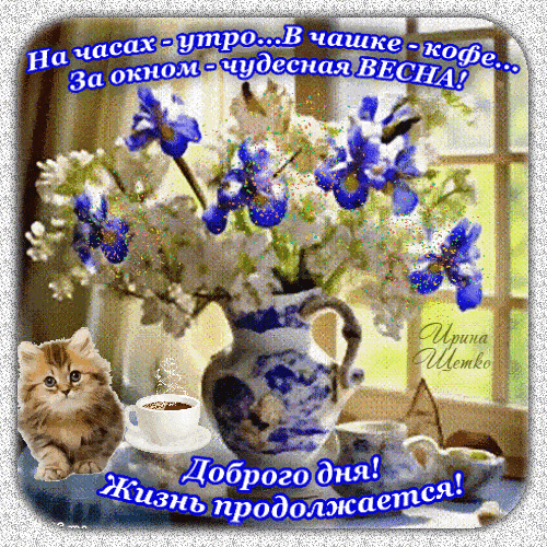 Открытка «С добрым утром»: Доброго дня! Жизнь продолжается в чудесную весну. Тэги: Добрый день, С добрым весенним утр…