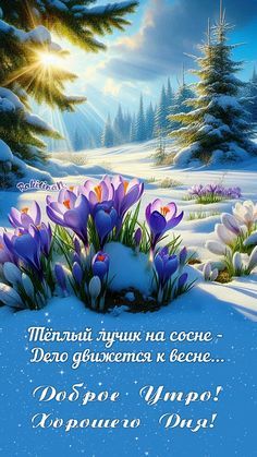 Открытка «С добрым утром»: Доброе Утро! Красивое весеннее пожелание и солнце. Тэги: Хорошего дня, С добрым зимним утр…
