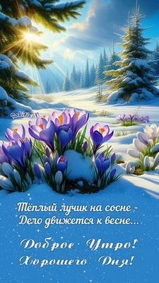 Открытка «С добрым утром»: Доброе Утро! Красивое весеннее пожелание и солнце. Тэги: Хорошего дня, С добрым зимним утр…