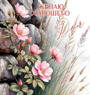 Открытка «Пожелание»: Желаю хорошего дня: нежные цветы и пожелание. Тэги: друг, мужчина, женщина, красивая, позитив…
