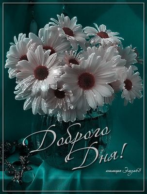 Открытка «Добрый день»: Доброго Дня! Прекрасное настроение с цветами. Тэги: анимационный, Добрый день и добрые пожела…