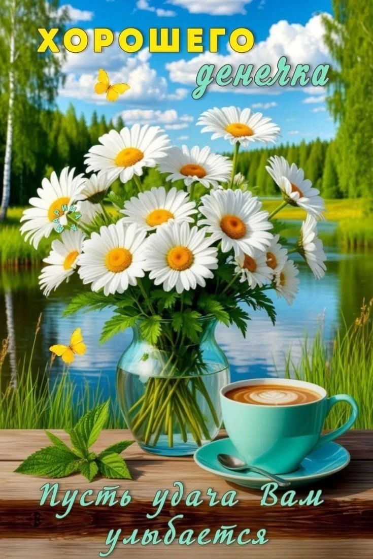 Открытка «Пожелание»: Хорошего денечка и удачи! Красивая открытка с ромашками. Тэги: кофе, позитив, радость, цветок…