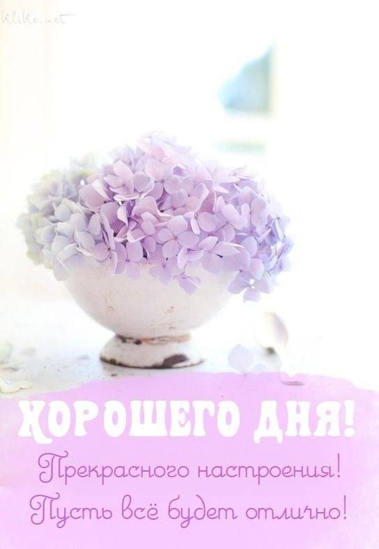 Открытка «Пожелание»: Хорошего Дня: нежная открытка для прекрасного настроения. Тэги: хорошего дня, улыбка, красивая…