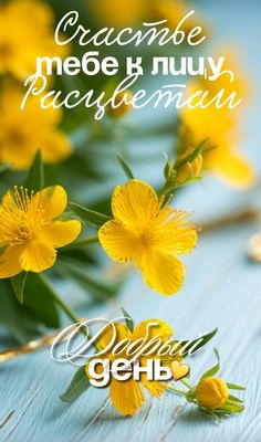 Открытка «Пожелание»: Добрый день! Счастье тебе к лицу, расцветай!. Тэги: улыбка, подруга, женщина, красивая, позитив…