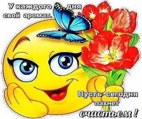 Открытка «Животное»: Открытка: Пусть сегодня пахнет счастьем!. Тэги: пожелание, улыбка, красивая, позитив, радость…