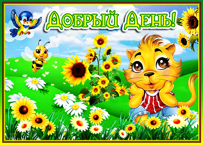 Открытка «Кот»: Яркая открытка Добрый день с милым котиком. Тэги: животное, пожелание, улыбка, друг, подруга, красивая…