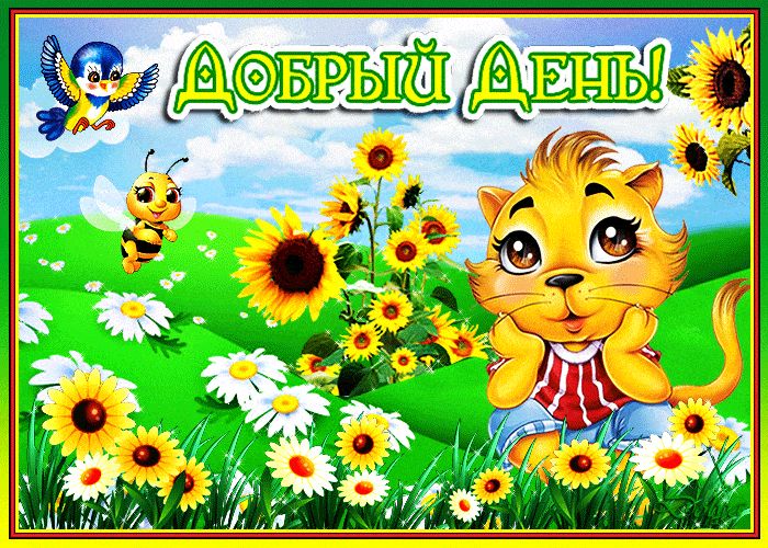 Открытка «Кот»: Яркая открытка Добрый день с милым котиком. Тэги: животное, пожелание, улыбка, друг, подруга, красивая…