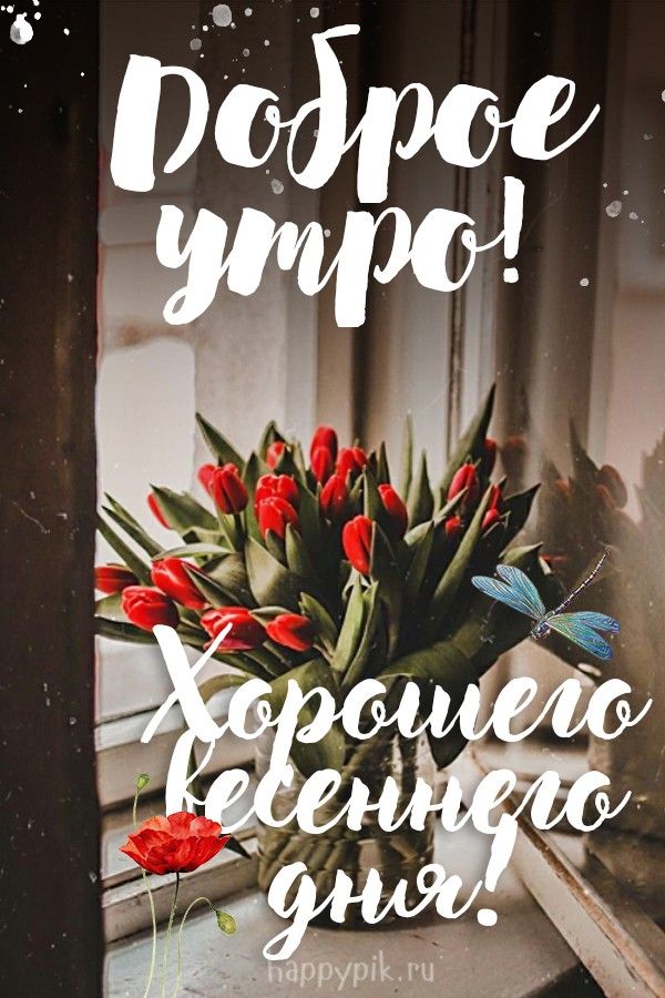 Открытка «Пожелание»: Доброе утро и хорошего весеннего дня!. Тэги: утро, красивая, позитив, радость, цветок, окно…