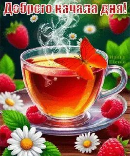 Открытка «Животное»: Доброго начала дня! Утренняя открытка с бабочкой. Тэги: пожелание, утро, красивая, позитив…