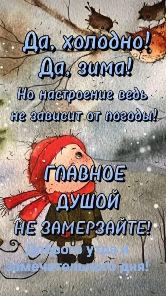 Открытка «Кот»: Зимнее утро: пусть настроение будет теплым!. Тэги: пожелание, шапка, шарф, красивая, позитив, настрое…