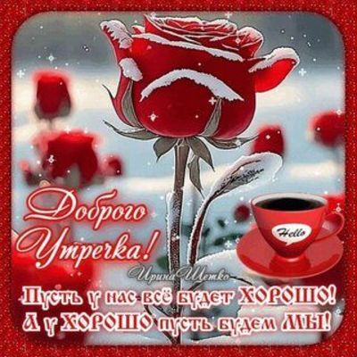 Открытка «Пожелание»: Доброго Утречка! Зимняя роза и теплое пожелание. Тэги: утро, красивая, кофе, позитив, радость…