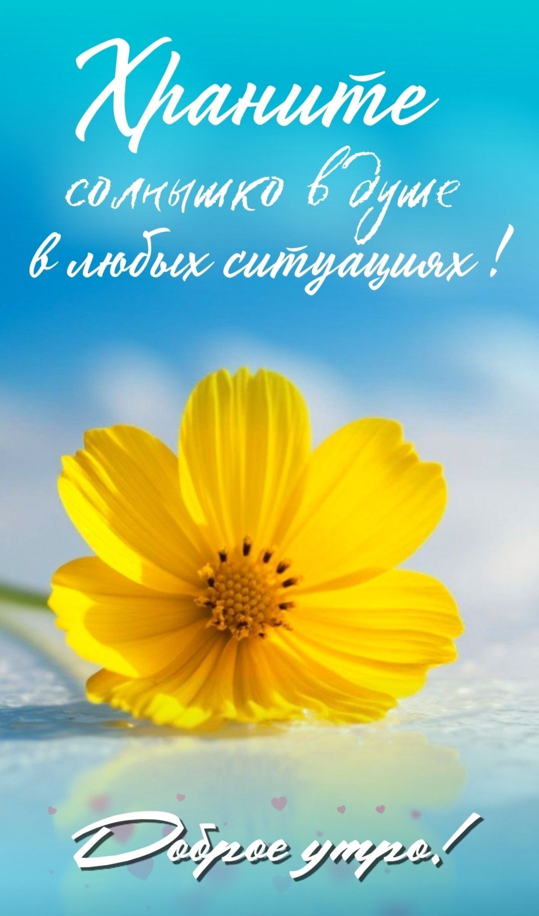 Открытка «Пожелание»: Доброе утро! Солнышко в душе и яркий цветок. Тэги: улыбка, утро, красивая, позитив, радость…