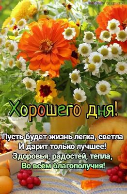 Открытка «Пожелание»: Хорошего дня! Поздравительная открытка с цветами. Тэги: хорошего дня, красивая, позитив, радость…