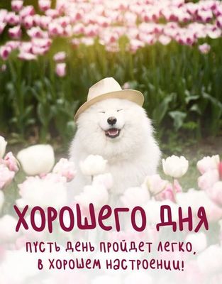 Открытка «Животное»: Хорошего дня с улыбкой! Милый пес и тюльпаны. Тэги: пожелание, хорошего дня, прикольная, улыбка…