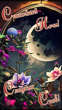 Открытка «Пожелание»: Спокойной Ночи: Нежная Открытка для Сладких Снов!. Тэги: красивая, цветок, настроение, нежная…