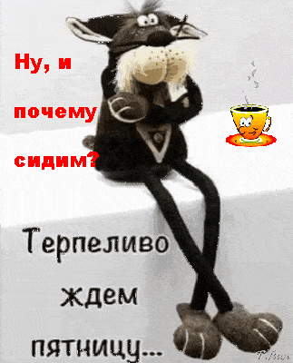 Открытка «Кот»: Ждем пятницу! Прикольная открытка с котом и кофе. Тэги: животное, юмор, улыбка, друг, подруга, кофе…