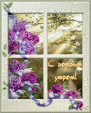 Открытка «Пожелание»: Красивая открытка "С добрым утром!" с цветами. Тэги: утро, красивая, позитив, цветок, окно…
