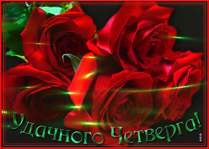 Открытка «Пожелание»: Красивые розы: пожелание удачного четверга!. Тэги: красивая, позитив, радость, цветок, настроен…