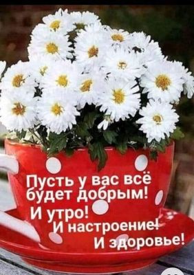 Открытка «Пожелание»: Прекрасное утро! Пусть всё будет добрым!. Тэги: улыбка, утро, друг, подруга, мужчина, женщина…