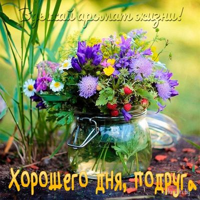 Открытка «Пожелание»: Хорошего дня, подруга! Летний букет. Тэги: подруга, женщина, красивая, позитив, радость, цветок…