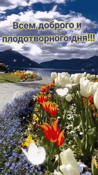 Открытка «Пожелание»: Доброго и плодотворного дня! Красивая открытка с пожеланием. Тэги: красивая, позитив, радость…