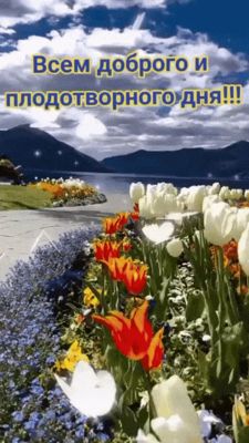 Открытка «Пожелание»: Доброго и плодотворного дня! Красивая открытка с пожеланием. Тэги: красивая, позитив, радость…