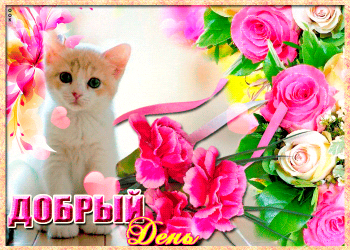 Открытка «Кот»: Добрый день с милым котенком и розовыми цветами. Тэги: животное, пожелание, улыбка, красивая, позитив…
