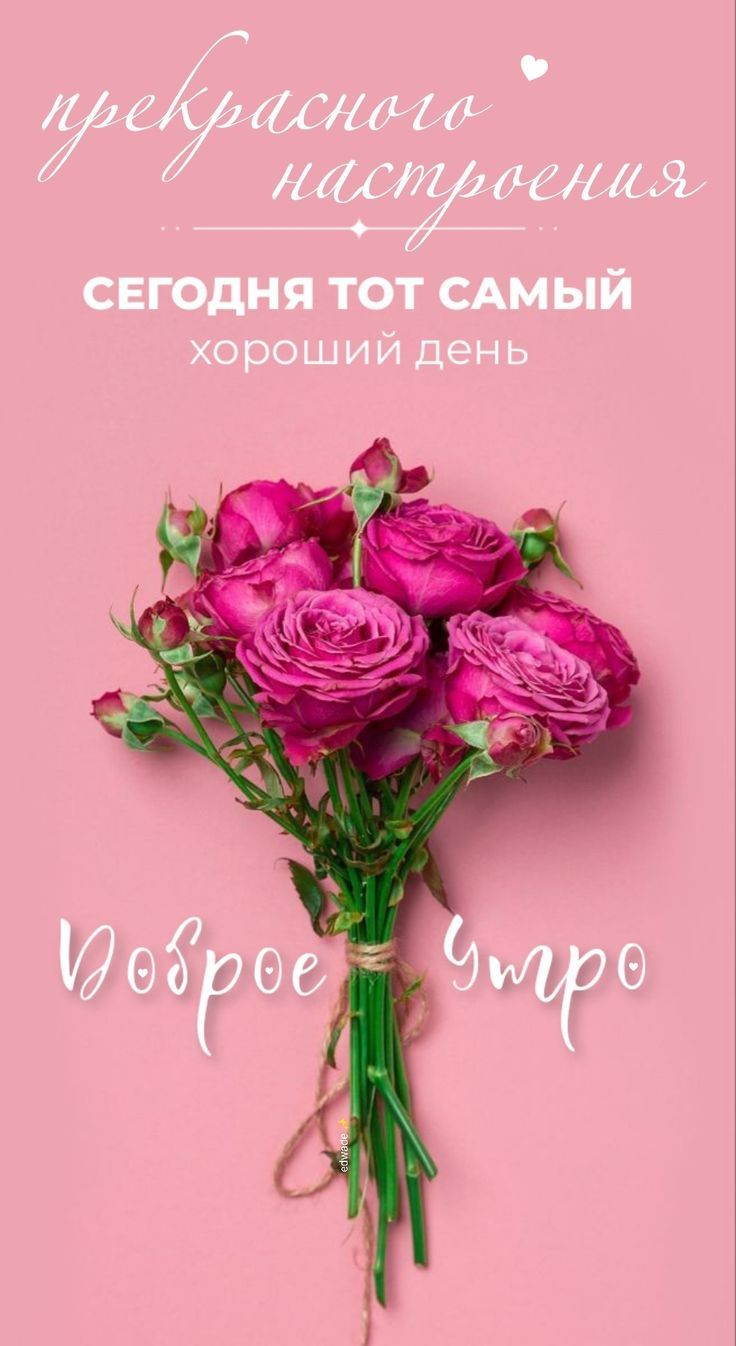 Открытка «Пожелание»: Прекрасного настроения: доброе утро и хороший день!. Тэги: друг, подруга, мужчина, женщина…