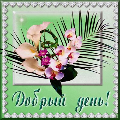 Открытка «Пожелание»: Добрый день! Красивая открытка с цветами и пожеланием. Тэги: улыбка, красивая, позитив, радость…