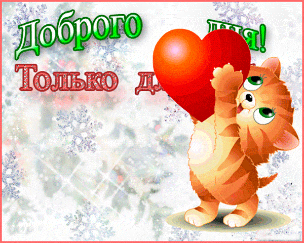 Открытка «Кот»: Доброго Дня! Милый котик и сердце для настроения. Тэги: животное, пожелание, улыбка, красивая, позитив…