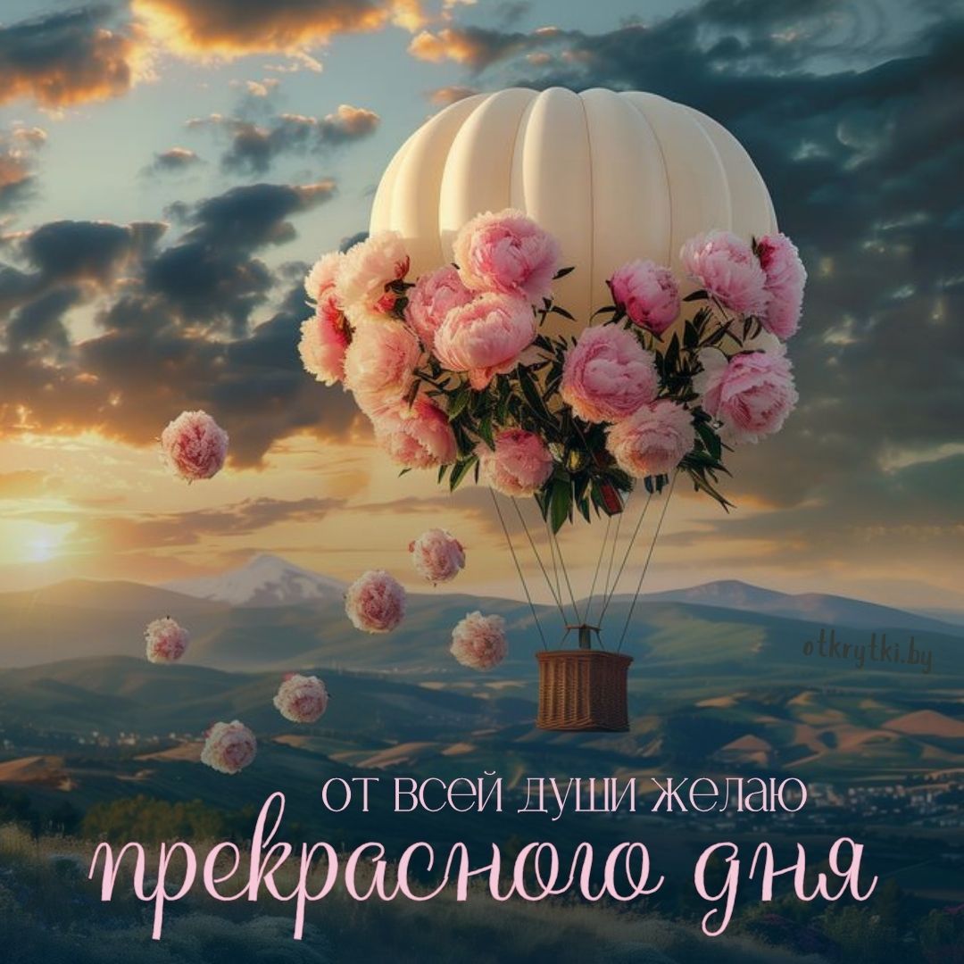 Открытка «Пожелание»: Прекрасного дня! Красивая открытка с цветами. Тэги: утро, красивая, позитив, цветок, нежная…