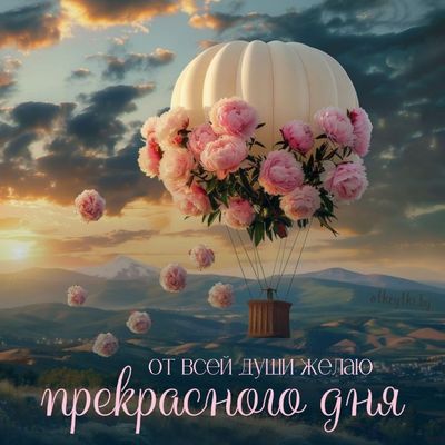 Открытка «Пожелание»: Прекрасного дня! Красивая открытка с цветами. Тэги: утро, красивая, позитив, цветок, нежная…