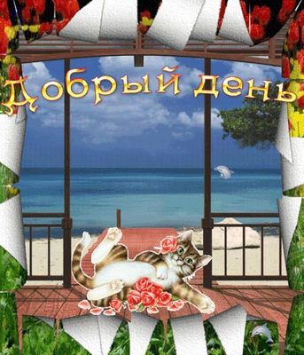 Открытка «Кот»: Позитивный добрый день! Кот и море. Тэги: пожелание, улыбка, красивая, позитив, радость, добрый день…