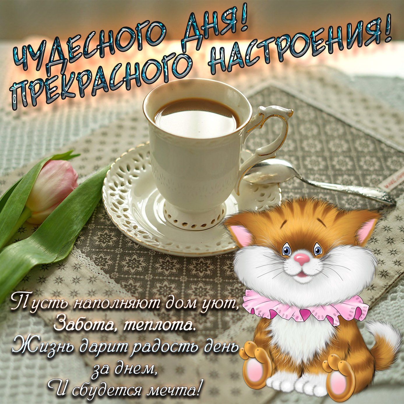 Открытка «Кот»: Чудесного дня и прекрасного настроения! Милый котик. Тэги: животное, пожелание, улыбка, утро, красивая…