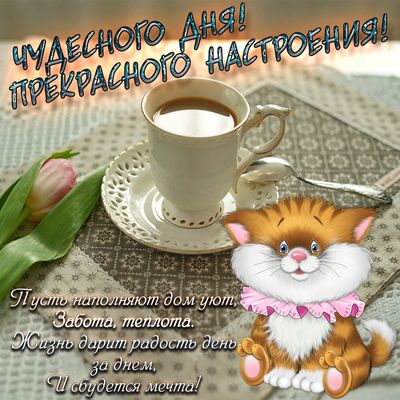 Открытка «Кот»: Чудесного дня и прекрасного настроения! Милый котик. Тэги: животное, пожелание, улыбка, утро, красивая…