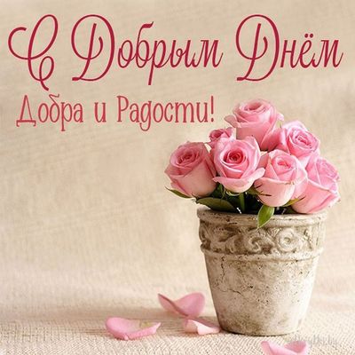Открытка «Пожелание»: С Добрым Днём: нежные розы, добро и радость. Тэги: улыбка, красивая, позитив, радость, добрый д…