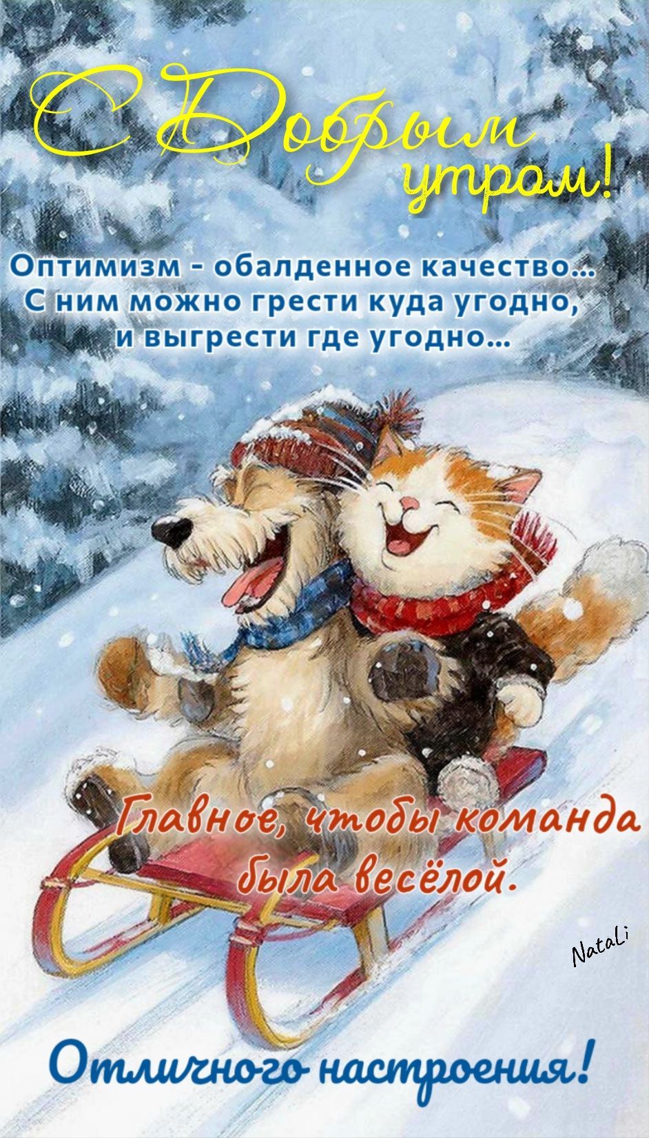 Открытка «Кот»: С Добрым утром! Открытка с оптимизмом и позитивом. Тэги: животное, пожелание, юмор, прикольная, улыбка…