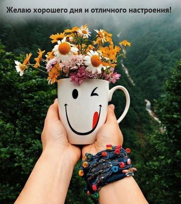 Открытка «Пожелание»: Желаю Хорошего дня и отличного настроения!. Тэги: улыбка, красивая, позитив, радость, цветок…