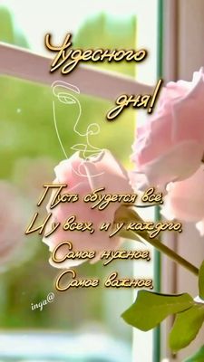 Открытка «Пожелание»: Чудесного дня: нежное пожелание с розами. Тэги: улыбка, красивая, позитив, радость, цветок…