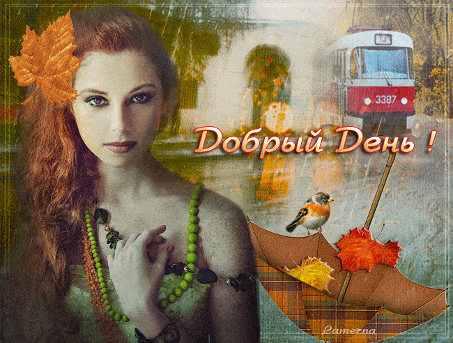 Открытка «Животное»: Добрый День: осеннее настроение и пожелание. Тэги: пожелание, женщина, красивая, позитив, добрый…
