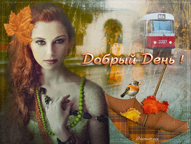 Открытка «Животное»: Добрый День: осеннее настроение и пожелание. Тэги: пожелание, женщина, красивая, позитив, добрый…