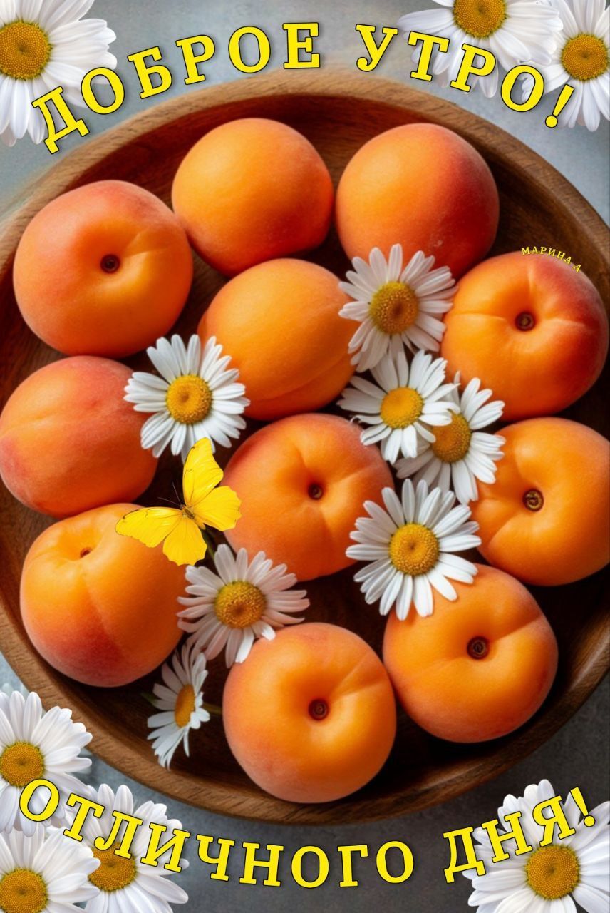 Открытка «Пожелание»: Доброе утро и отличного дня! Яркие абрикосы, ромашки. Тэги: улыбка, утро, красивая, позитив…