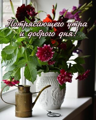 Открытка «Пожелание»: Открытка: Потрясающего утра и доброго дня!. Тэги: красивая, позитив, радость, цветок, осень…