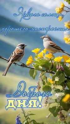 Открытка «Животное»: Доброго дня! Яркого солнца и хорошего настроения. Тэги: красивая, позитив, радость, добрый день…