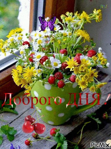 Открытка «Пожелание»: Доброго дня! Яркая открытка с цветами и бабочкой. Тэги: улыбка, красивая, позитив, радость…