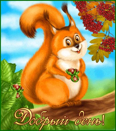 Открытка «Животное»: Добрый день! Милая белка с орешками для позитива. Тэги: пожелание, улыбка, красивая, позитив…